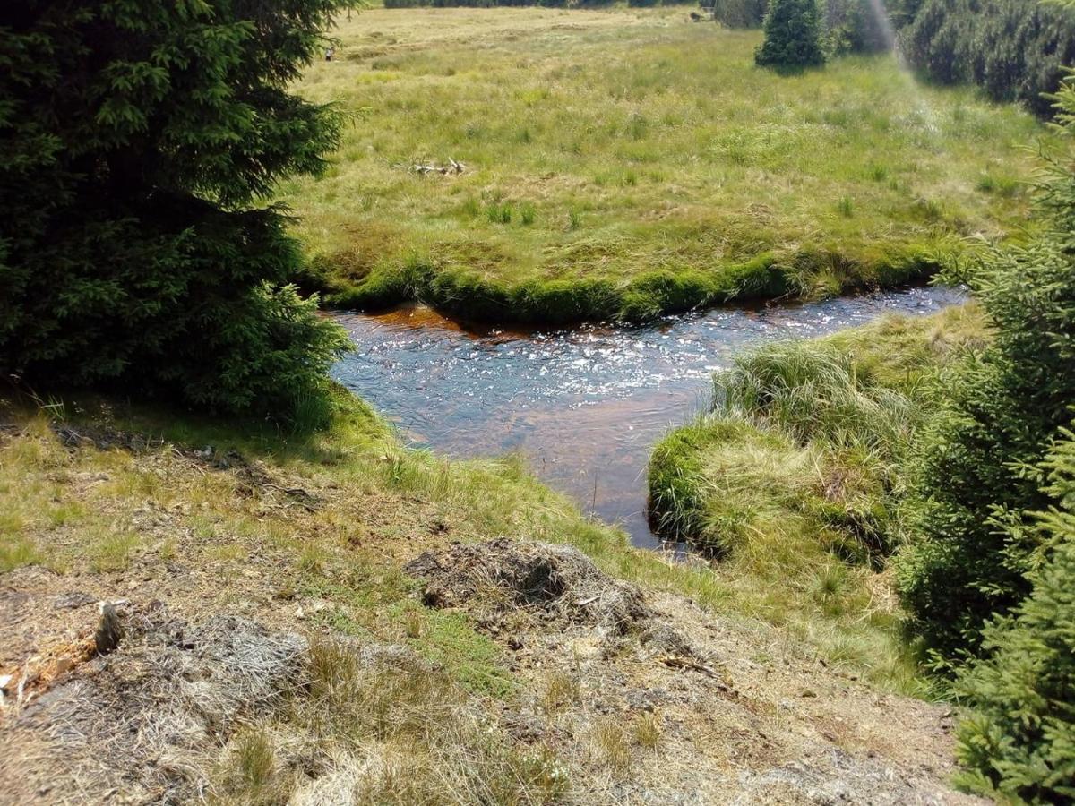 Chata Ondrasek Bedřichov Exteriör bild