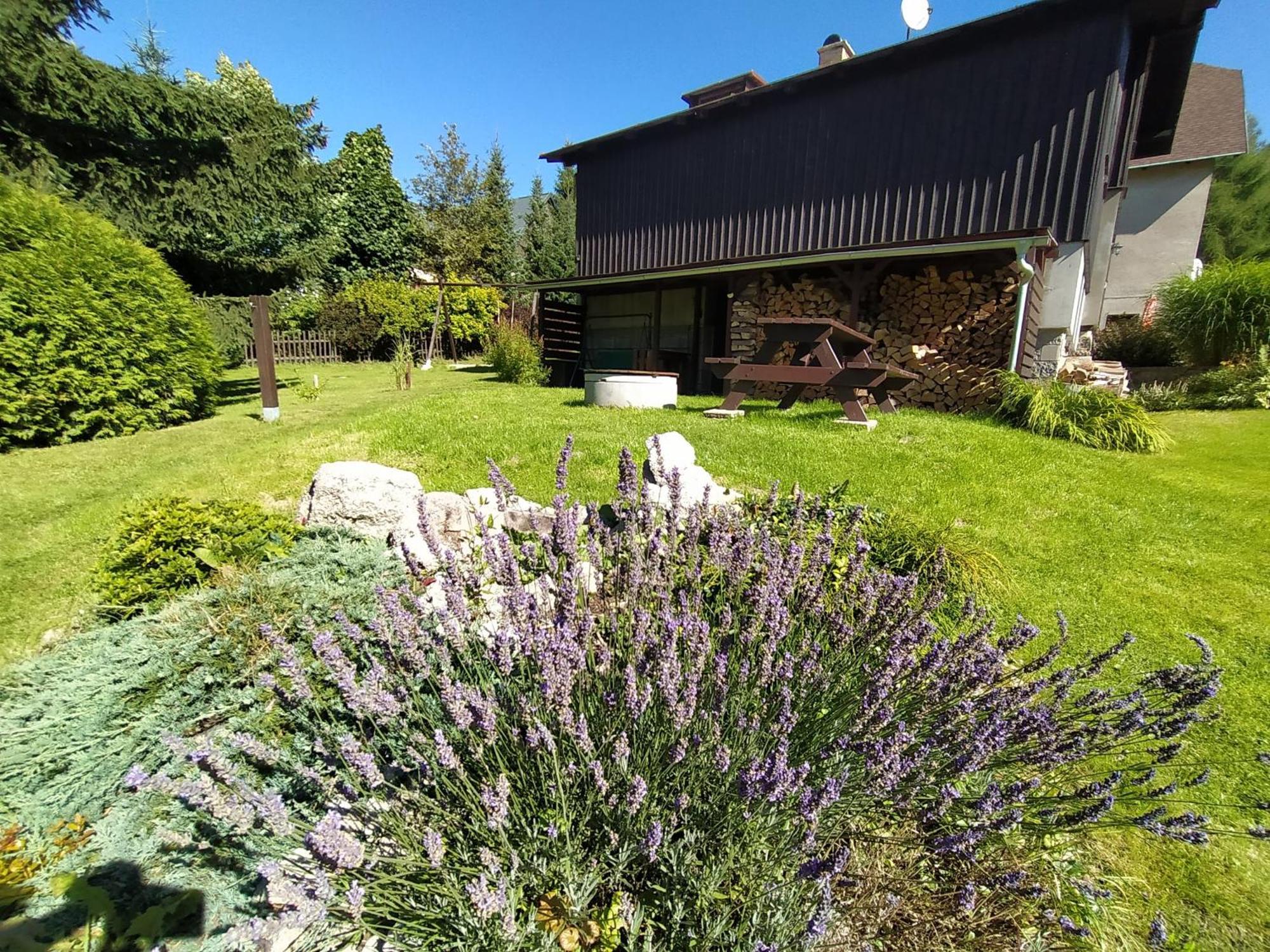 Chata Ondrasek Bedřichov Exteriör bild